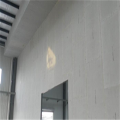 射阳宁波ALC板|EPS加气板隔墙与混凝土整浇联接的实验研讨